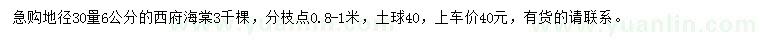 求購地徑30量6公分西府海棠