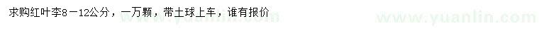求購8-12公分紅葉李