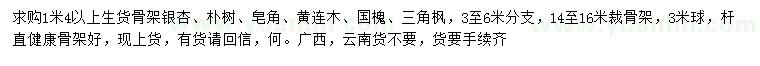 求購銀杏、樸樹、皂角等