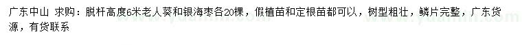 求購高度6米老人葵、銀海棗