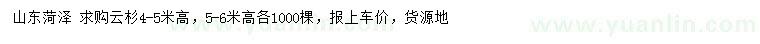 求購高4-5、5-6米云杉