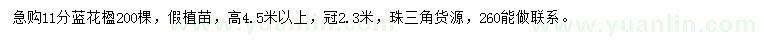 求購(gòu)11公分藍(lán)花楹