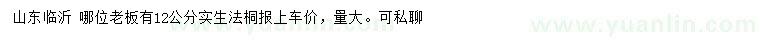 求購12公分實生法桐