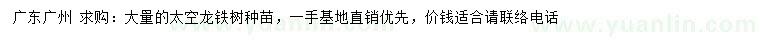 求購(gòu)太空龍鐵樹種苗
