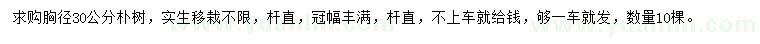 求購胸徑30公分樸樹
