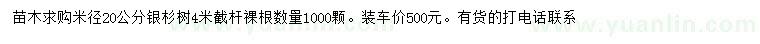 求購米徑20公分銀杉