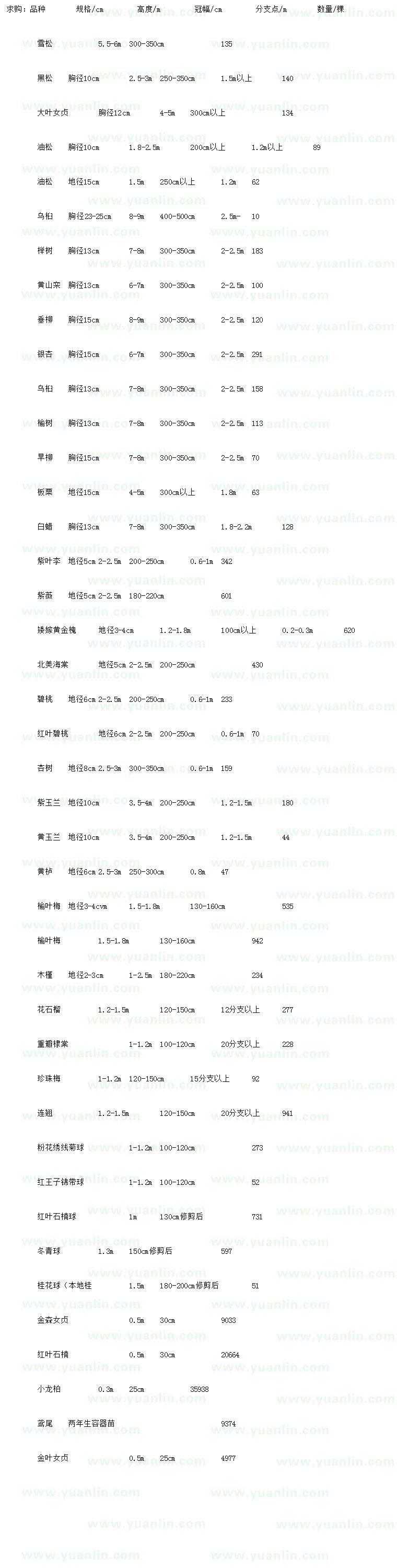 求購(gòu)雪松、黑松、大葉女貞等