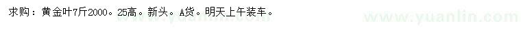 求購高25公分黃金葉