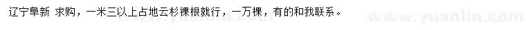 求購1.3米以上占地云杉