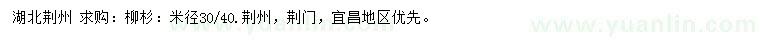 求購米徑30、40公分柳杉