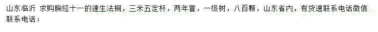 求購胸徑11公分速生法桐
