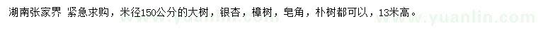 求購銀杏、樟樹、皂角等