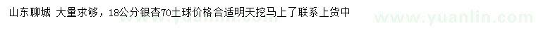 求購18公分銀杏
