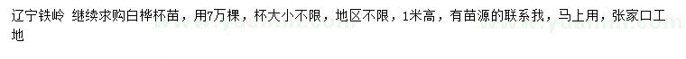 求購高1米白樺