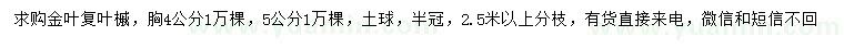 求購(gòu)胸徑4、5公分金葉復(fù)葉槭