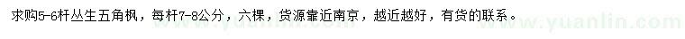 求購5-6桿叢生五角楓