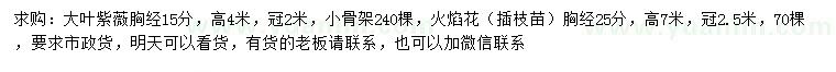 求購胸徑15分大葉紫薇、25公分火焰花