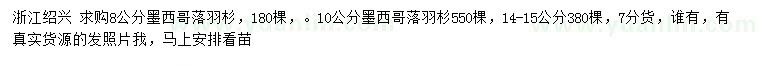 求購8、10、14-15公分墨西哥落羽杉