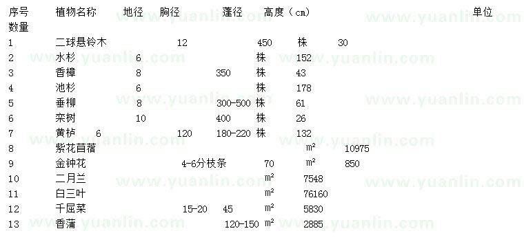 求購二球懸鈴木、水杉、香樟等