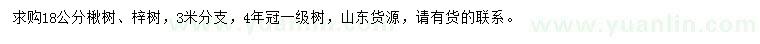 求購18公分楸樹、梓樹