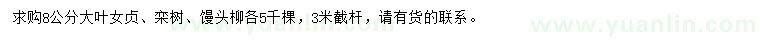 求購大葉女貞、欒樹、饅頭柳