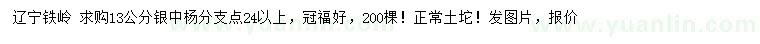 求購13公分銀中楊