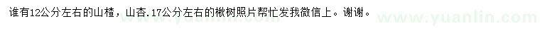 求購山楂、山杏、楸樹
