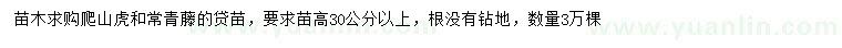 求購高30公分以上爬山虎、常青藤