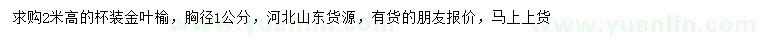 求購胸徑1公分金葉榆
