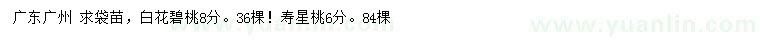 求購8公分白花碧桃、6公分壽星桃