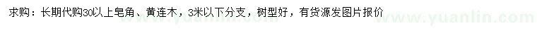 求購30公分以上皂角、黃連木