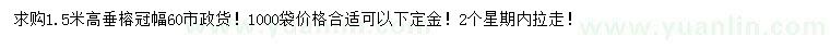 求購高1.5米垂榕