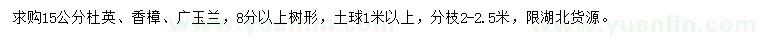 求購(gòu)杜英、香樟、廣玉蘭