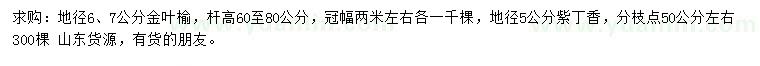 求購(gòu)地徑6、7公分金葉榆、5公分紫丁香