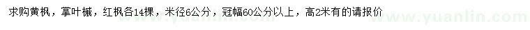 求購黃楓、掌葉槭、紅楓