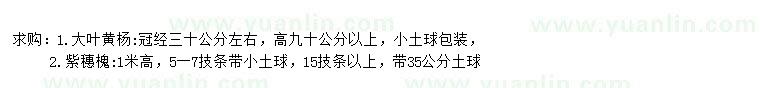 求購(gòu)冠幅30公分左右大葉黃楊、高1米紫穗槐