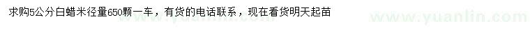 求購米徑5公分白蠟