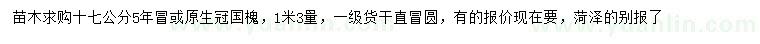 求購1.3米量17公分國槐