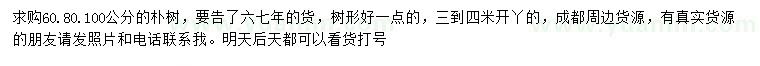 求購60、80、100公分樸樹