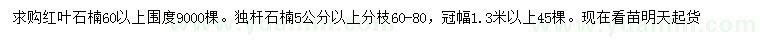 求購60公分以上紅葉石楠、5公分以上獨桿石楠