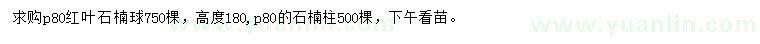 求購冠幅80公分紅葉石楠球、石楠柱