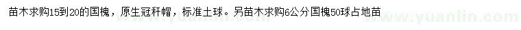 求購15-20公分國槐、6公分國槐