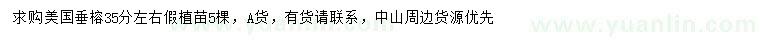 求購35公分左右美國垂榕假植苗