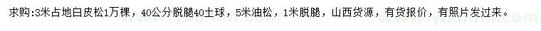 求購(gòu)3米占地白皮松、5米油松
