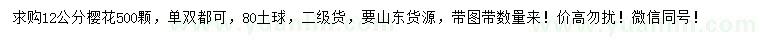 求購(gòu)12公分櫻花