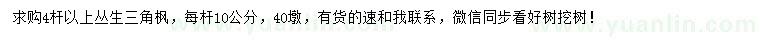 求購4桿以上叢生三角楓