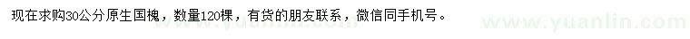求購30公分原生國槐