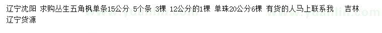 求購12、15、20公分叢生五角楓