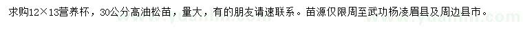 求購高30公分油松苗