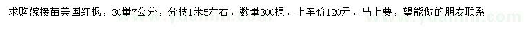 求購30量7公分美國紅楓